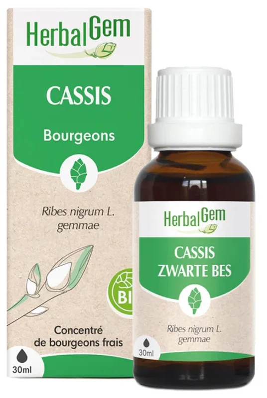 Cassis Bio 30ml HerbalGem