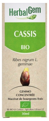 [724Ph240012073] Cassis Bio 30ml HerbalGem