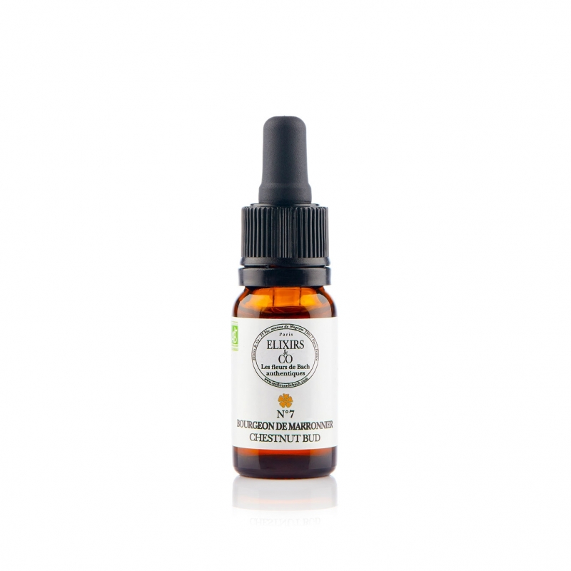 [724Ph240001789] Bourgeon de Marronnier / Chestnut Bud N°07 Elixirs & Co