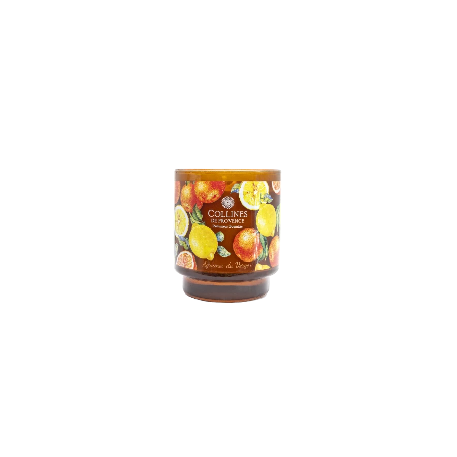 Bougie Agrumes du Verger 220g Collines de Provence