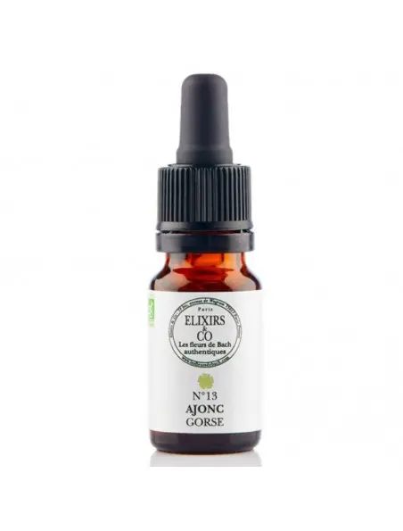 Ajonc / Gorse N°13 Elixirs & Co