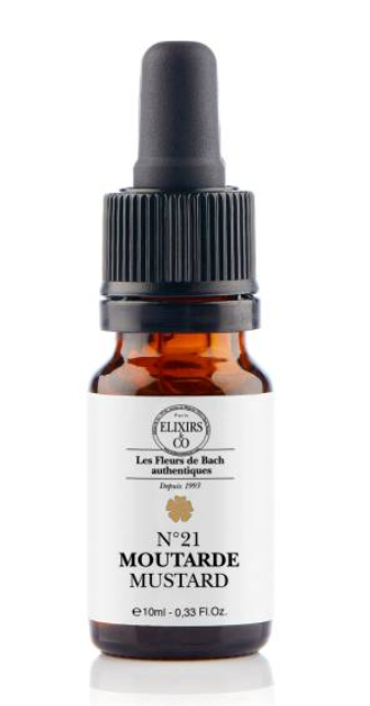 [724Ph240008340] Moutarde / Mustard N°21 Elixirs & Co
