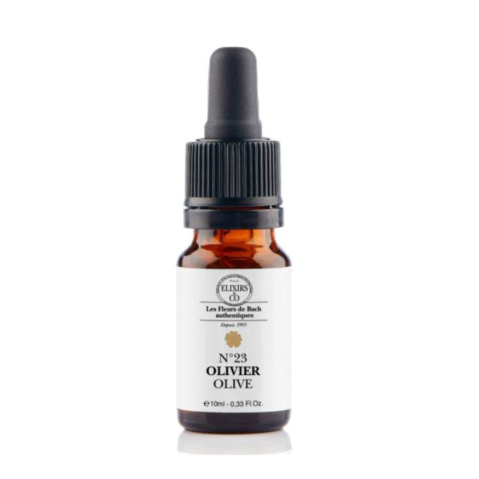[724Ph240008342] Olivier / Olive N°23 Elixirs & Co