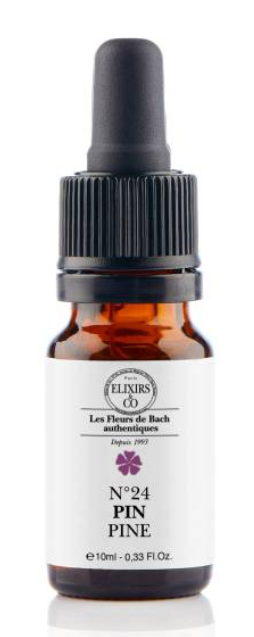 [724Ph240008343] Pin / Pine N°24 Elixirs & Co
