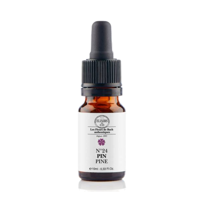 [724Ph240008343] Pin / Pine N°24 Elixirs & Co