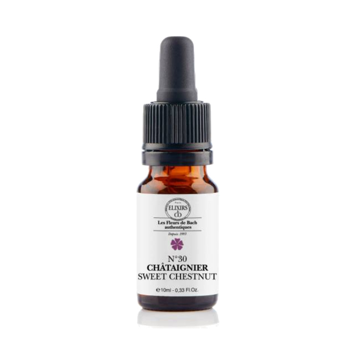 [724Ph240008349] Châtaignier / Sweet Chestnut N°30 Elixirs & Co