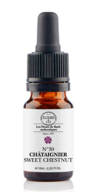 Châtaignier / Sweet Chestnut N°30 Elixirs & Co