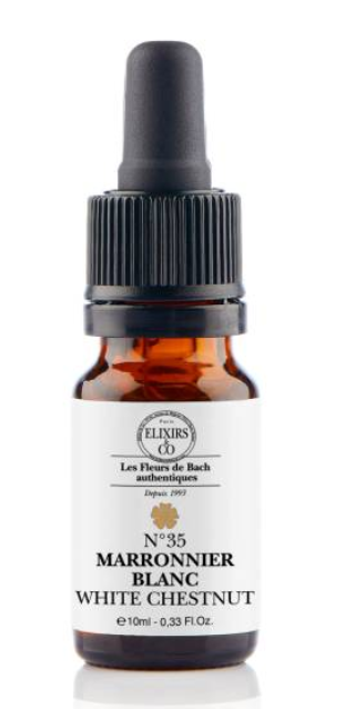 Marronnier blanc / White Chestnut N°35 Elixirs & Co