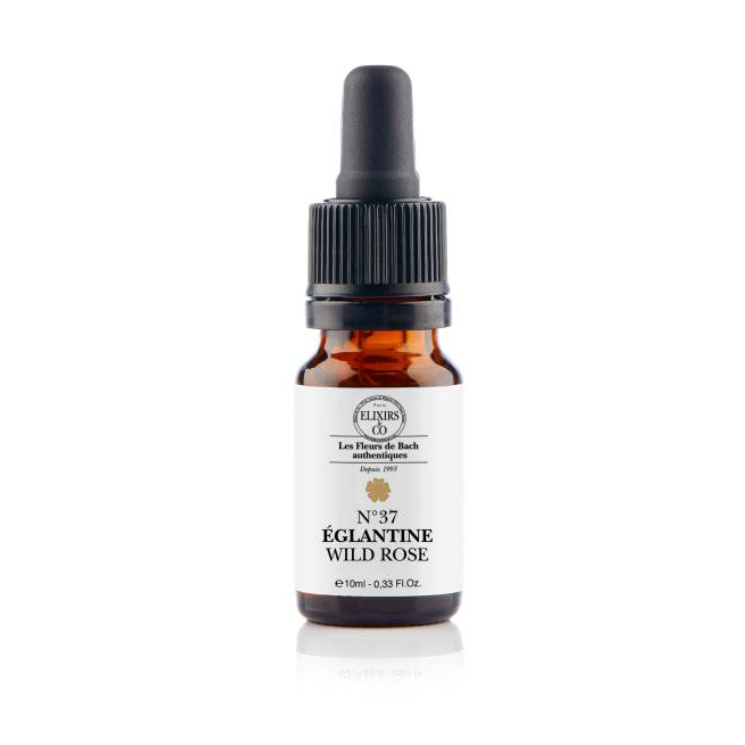 [724Ph240008356] Églantine / Wild Rose N°37 Elixirs & Co