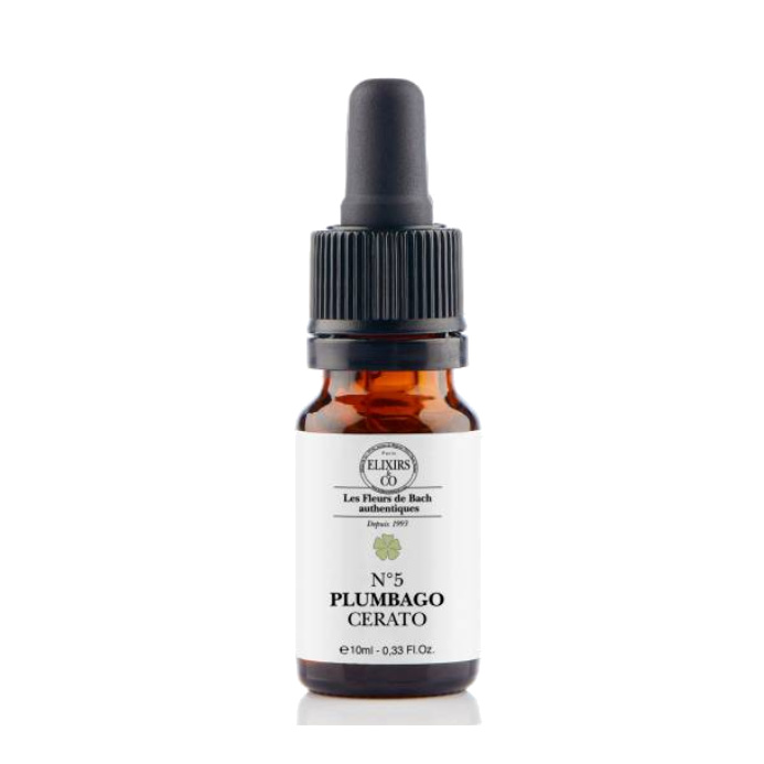 [724Ph240008358] Plumbago / Cerato - N°05 Elixirs & Co