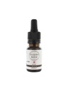 Houx / Holly N°15 Elixirs & Co