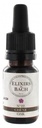 Chêne / Oak N°22 Elixirs & Co