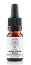 Marronnier blanc / White Chestnut N°35 Elixirs & Co