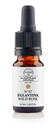 Églantine / Wild Rose N°37 Elixirs & Co