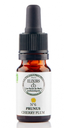 Prunus / Cherry Plum - N°06 Elixirs & Co